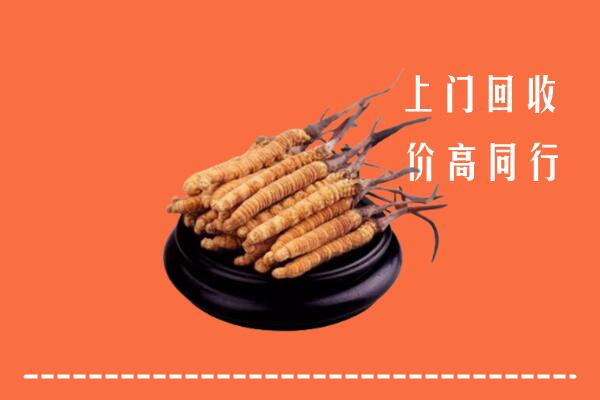 高价求购：濮阳市回收散虫草