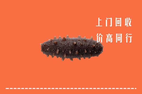 濮阳市回收海参