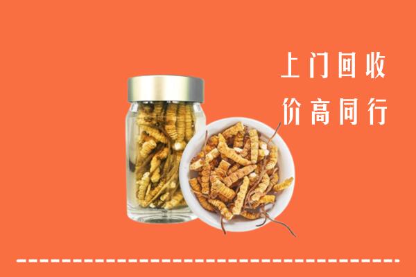 濮阳市回收冬虫夏草